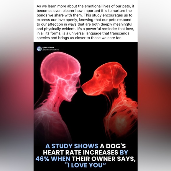 Other - - #7 Follow Game 🐾🐶